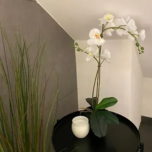 Apartment Eine Schoene An Der Birs, Basel