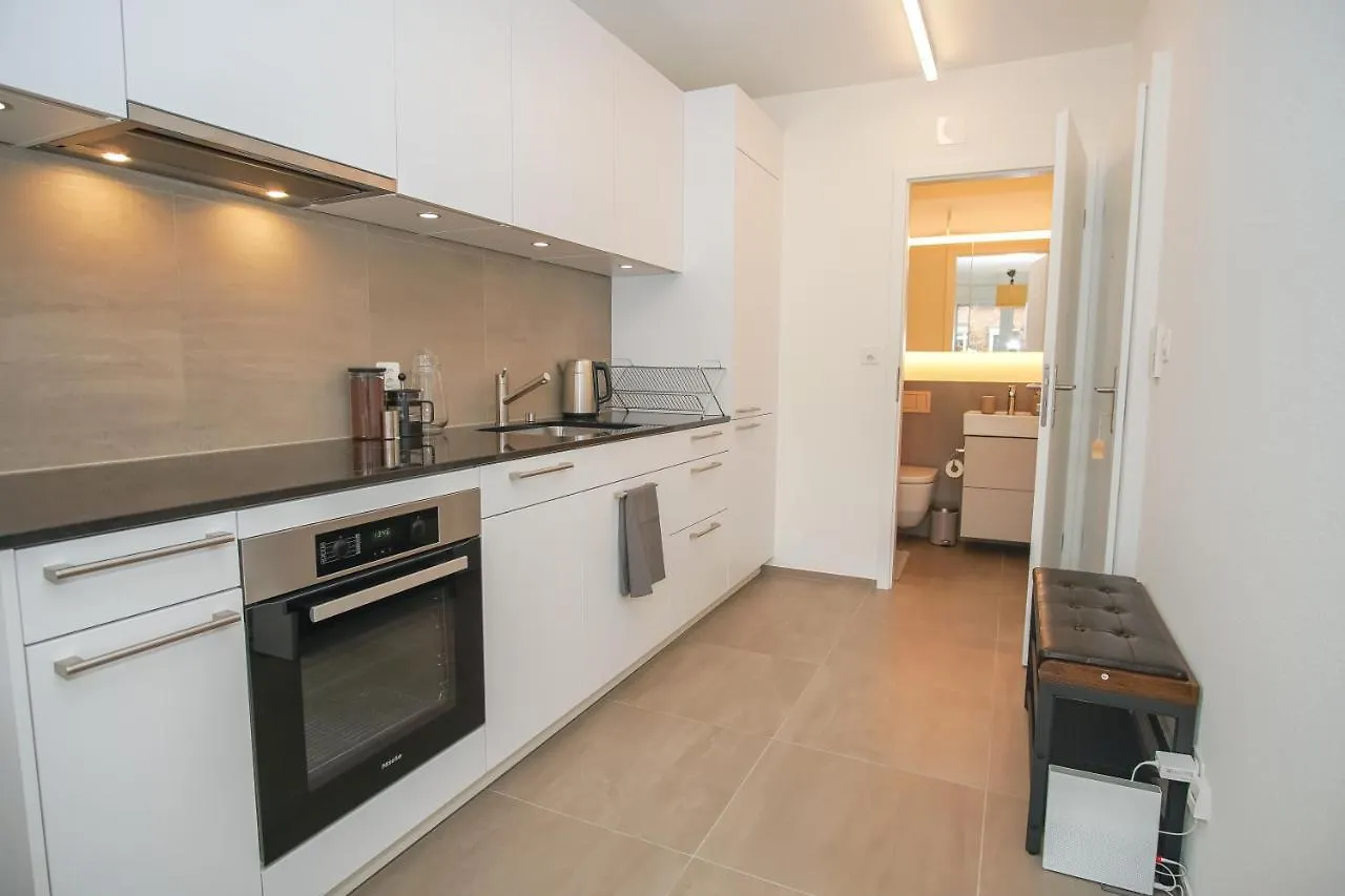 Stylish Apartment With Free Baselcard Basel